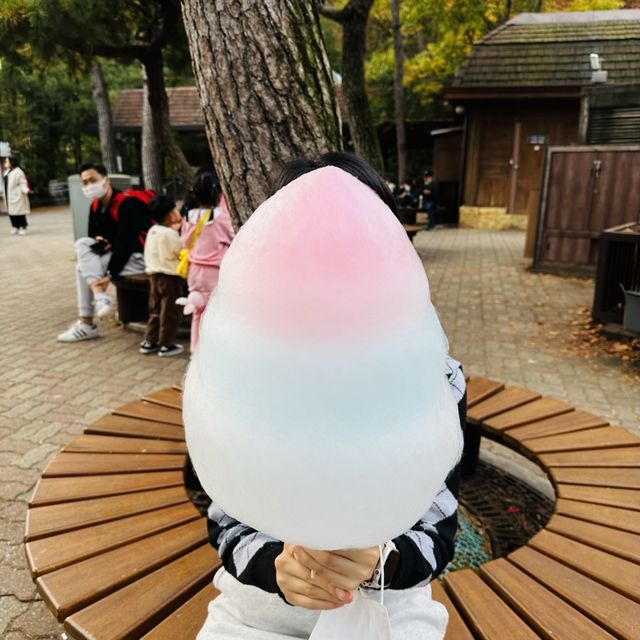 경기도 용인, 에버랜드 좀비축제 할로윈 기간