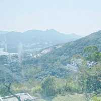   UNIQUE 全海景西餐廳 , 週末開車載家人來！一流！