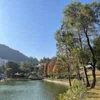 賞花季必到之中文大學‼️超令湖景