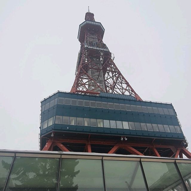雪之札幌電視塔與大通公園