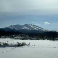 【北海道】美しい景色を眺めながらの移動