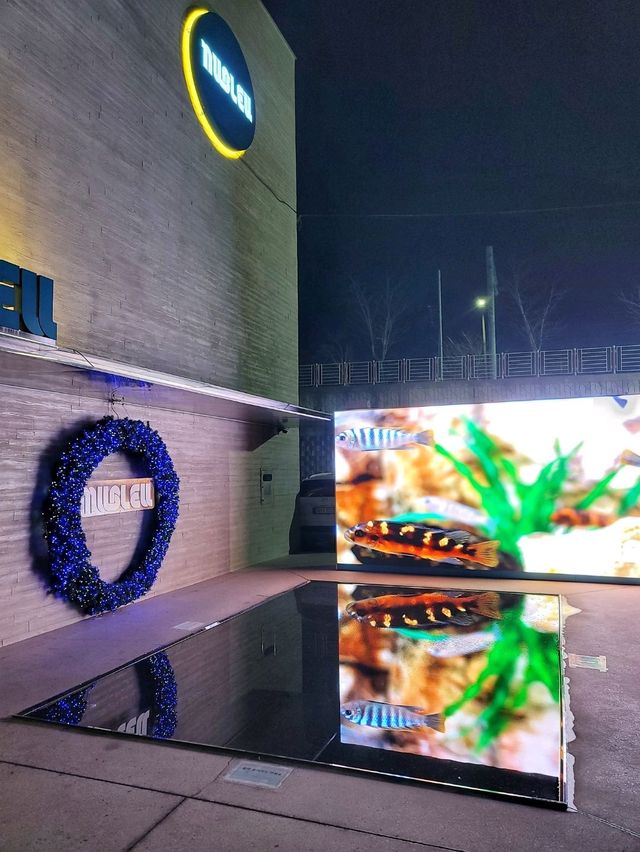 밤에 가면 더 특별해지는 기장카페 누블루💙