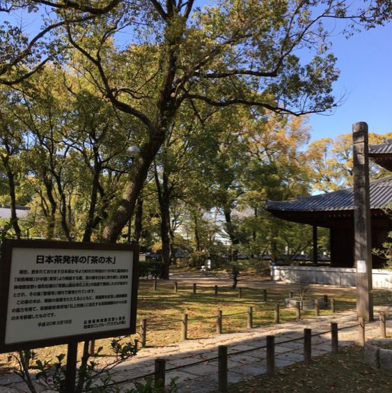 見どころだらけの広大なお寺【聖福寺】