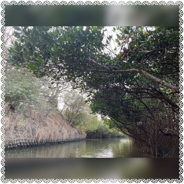 （台南/安南區）台南秘境台版亞馬遜河-超美四草綠色隧道