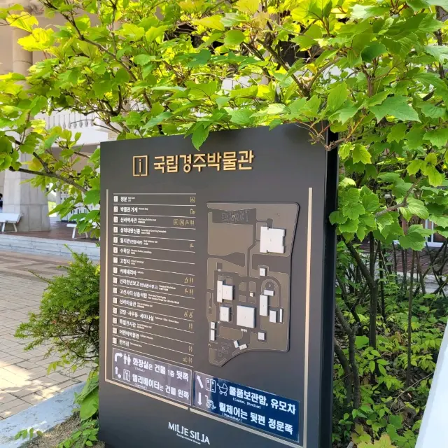 경주 왔다면 필수 코스!