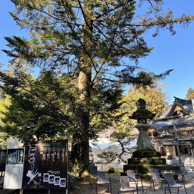 【和歌山】熊野三山のひとつ本宮大社