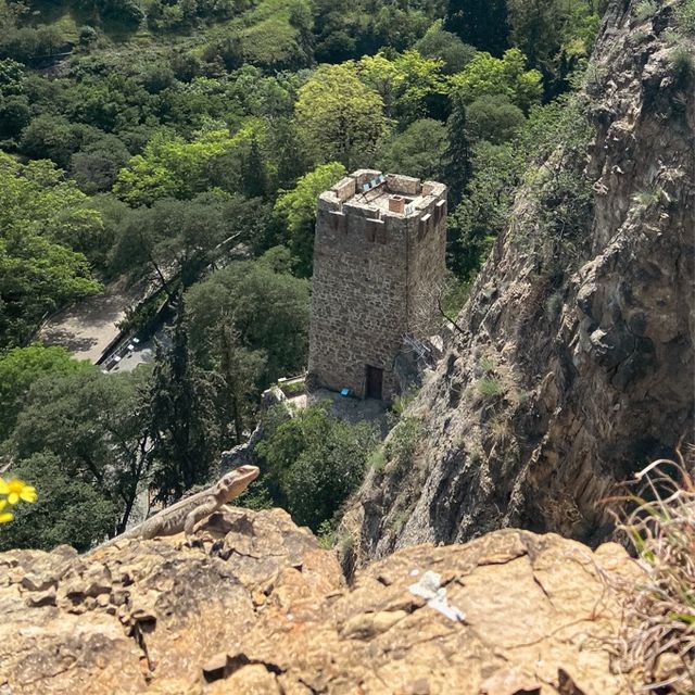 Short hiking in Tbilisi 