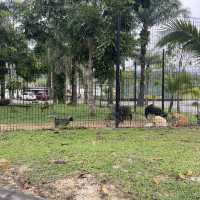 Johor bahru mini getaway