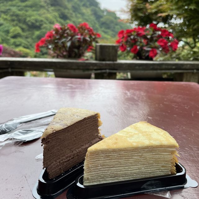 台北陽明山-繡球花園