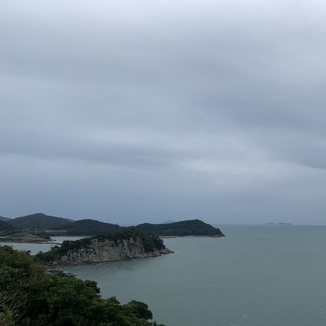 귀여운 고양이를 만날 수 있는 곳, 고흥쑥섬