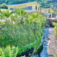 熱帯植物の楽園　熱海バナナワニ園