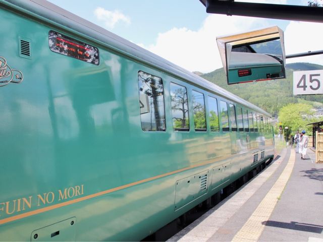 由布院之森🇯🇵🚞 不能錯過的九州觀光列車 🤩 