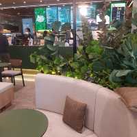คาเฟ่บรรยากาศดี อะเมซอนคาเฟ่ ปตท.