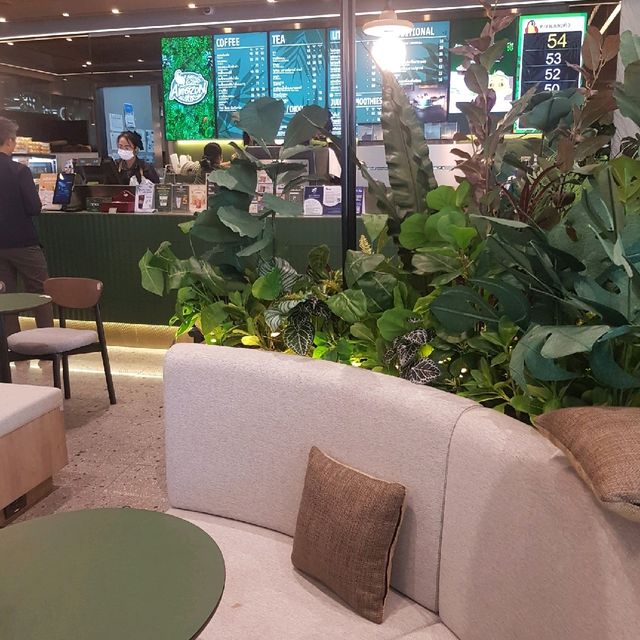 คาเฟ่บรรยากาศดี อะเมซอนคาเฟ่ ปตท.