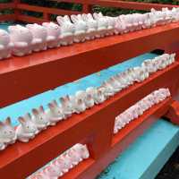 【超多可愛兔兔】京都東天王岡崎神社