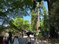 【岩手】世界遺産、中尊寺を堪能