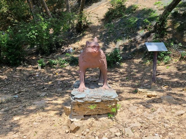 【水塘界四小龍~金山郊野公園🐒】
