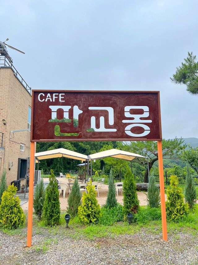 판교 신상 대형카페 판교몽
