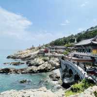 環繞山與海邊的寺廟 - 海東龍宮寺