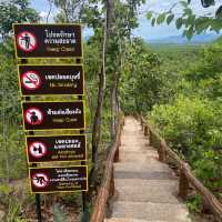 🌿⛰️สูดโอโซนแลความงามของผืนป่า ณ จุดชมวิวผาช่อ🌸