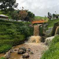 Cameron Valley Tea Plantation