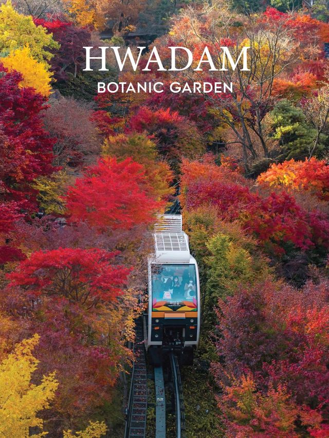 จุดชมใบไม้เปลี่ยนสี ที่สวยสุดในเกาหลี Hwadamsup