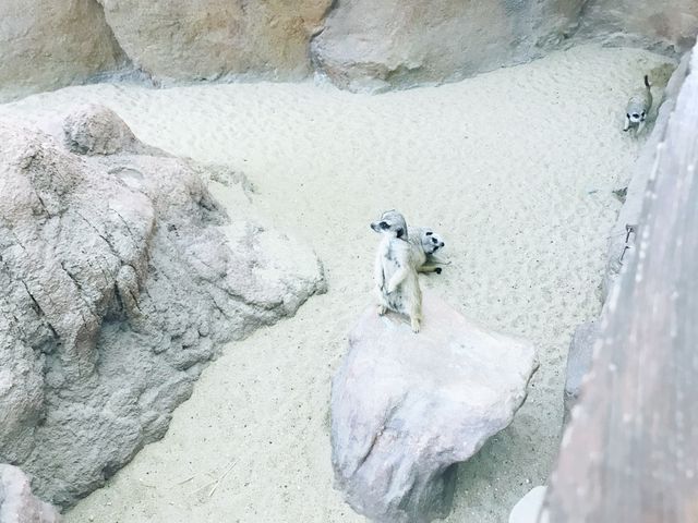 香港海洋公園