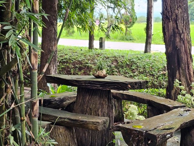 Ryokan Cafe คาเฟ่ที่มีน้องโตโตโร่ จ.เชียงราย