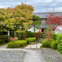 Tentoku-in Tranquility: Kyoto's Serenity