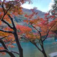 【京都嵐山】紅葉ハイシーズン