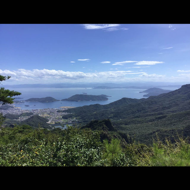 やはり島が魅力的よね