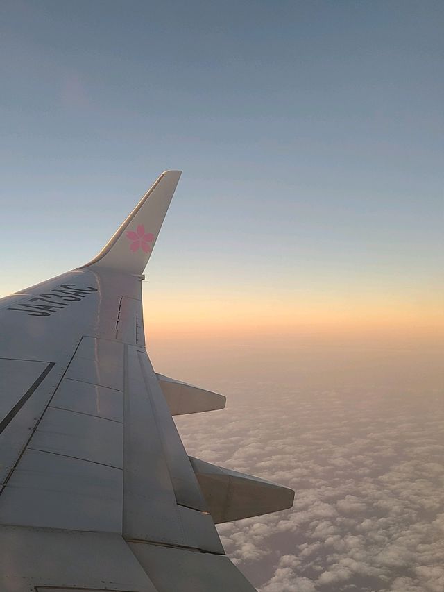 スカイマークで国内旅行