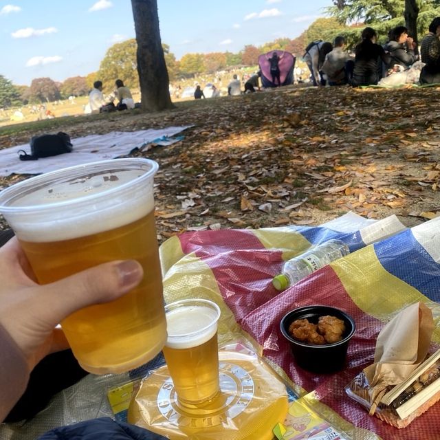 今が見ごろ！昭和記念公園かたらいのイチョウ並木🌲
