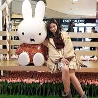 太古城Miffy