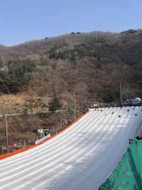 눈썰매 타며 동심으로 돌아가는 경기 양주 눈꽃축제 나들이❄️