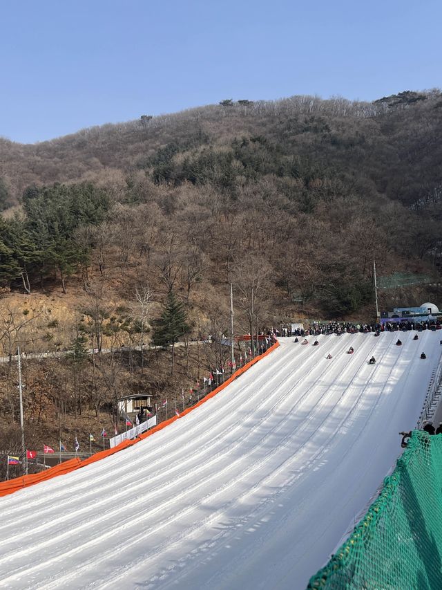 눈썰매 타며 동심으로 돌아가는 경기 양주 눈꽃축제 나들이❄️