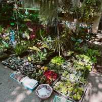 หนาวนี้ เดินหาของกิน ที่ตลาดน้ำบางน้ำผึ้ง 