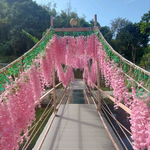 小白兔農莊