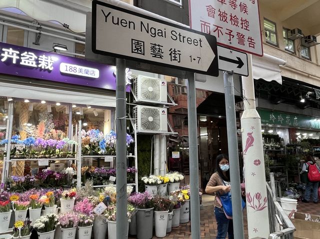 香港特色街道 @ 旺角花墟