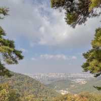 광주 단풍놀이명소 추천, 지산유원지 모노레일 ✨