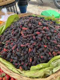 Kalaw (Highland in Myanmar) 