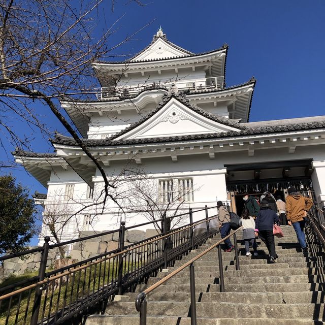 毗鄰東京的中世紀城堡🏯小田原城