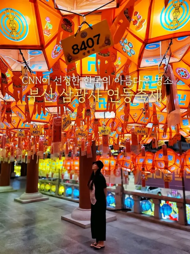 CNN선정 한국의 아름다운 명소, 삼광사 연등축제🪷✨️