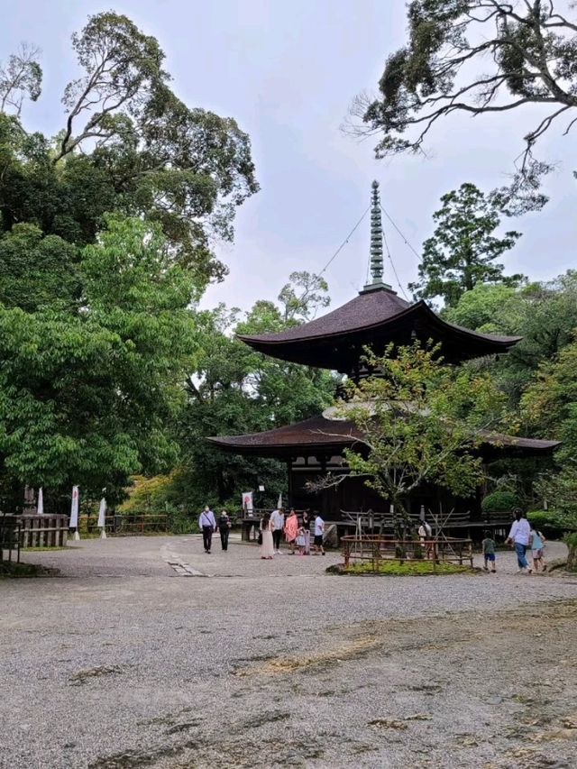 【滋賀】石山寺を散策しよう