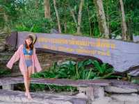 Similan Calling ~