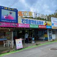 石垣島「川平湾」絶景を眺める