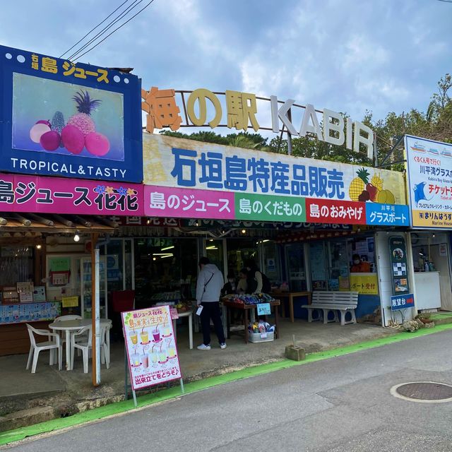 石垣島「川平湾」絶景を眺める
