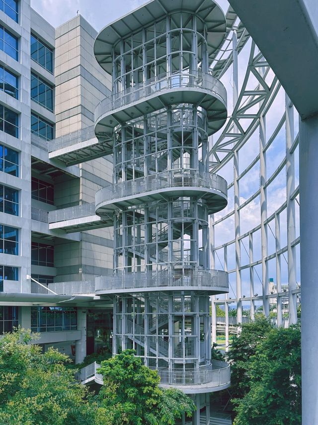 《台北》室內親子友善景點 超好拍高空透明木橋-台灣科學教育館