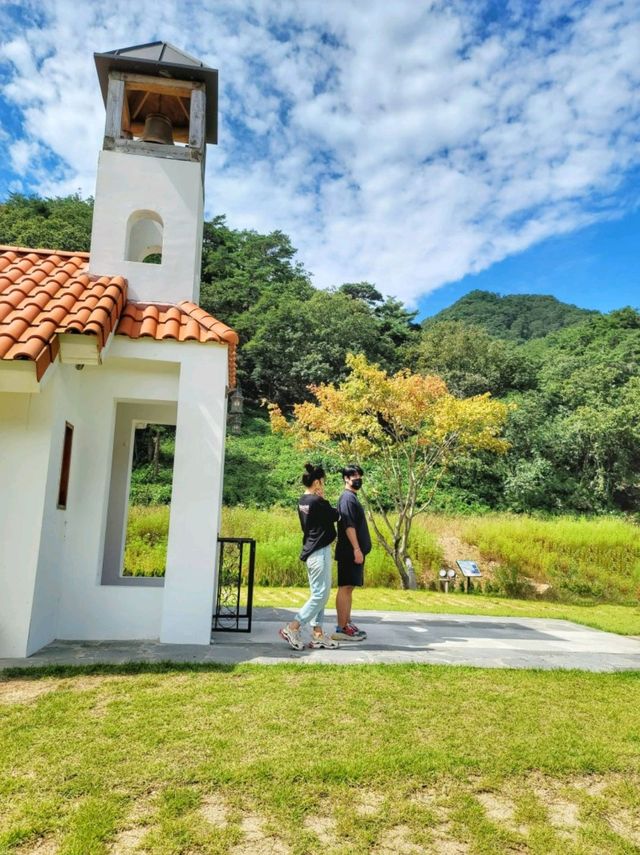 무궁화 보기 힘든 요즘 가볼만한 곳🩷
