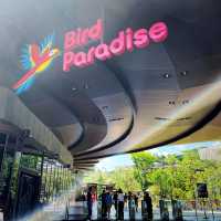 Exploring SG's new Bird Paradise